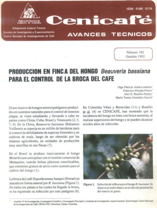 <p>(avt0182)Producción en finca del hongo /Beauveria bassiana/ para el control de la broca del cafeto. (avt0182)</p>