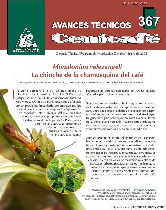 <p>(avt0367)/Monalonion velezangeli/ : la chinche de la chamusquina del café. (avt0367)</p>