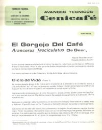 <p>(avt0114)El gorgojo del café /Araecerus fasciculatus/ De Geer. (avt0114)</p>