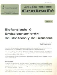<p>(avt0116)Elefantiasis o embalconamiento del plátano y del banano. (avt0116)</p>