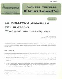 <p>(avt0129)La sigatoka amarilla del plátano /Mycosphaerella musicola/ Leach. (avt0129)</p>