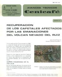 <p>(avt0131)Recuperación de los cafetales afectados por las emanaciones del Volcán Nevado del Ruiz. (avt0131)</p>