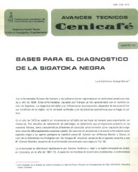 <p>(avt0133)Bases para el diagnóstico de la Sigatoka Negra. (avt0133)</p>