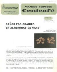 <p>(avt0137)Daños por granizo en almendras de café. (avt0137)</p>