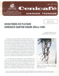 <p>(avt0150)Nematodos en plátano Dominico Hartón Enano /Musa/ AAB. (avt0150)</p>