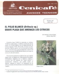 <p>(avt0165)El Piojo Blanco /Orthezia/ sp. grave plaga que amenaza los cítricos. (avt0165)</p>