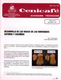 <p>(avt0167)Desarrollo de las raíces de las variedades Caturra y Colombia. (avt0167)</p>