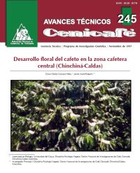 <p>(avt0245)Desarrollo floral del cafeto en condiciones de la zona cafetera colombiana (Chinchiná-Caldas). (avt0245)</p>