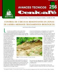 <p>(avt0256)Control de cárcavas remontantes en zonas de ladera mediante tratamientos biológicos. (avt0256)</p>