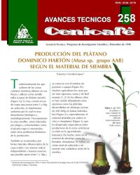 <p>(avt0258)Producción de Plátano Dominico Harton (/Musa/ sp. grupo AAB) según el material de siembra. (avt0258)</p>