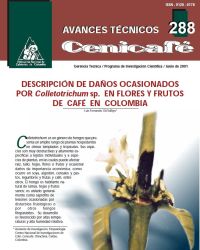 <p>(avt0288)Descripción de daños ocasionados por /Colletotrichum/ sp. en flores y frutos de café en Colombia. (avt0288)</p>