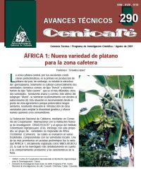 <p>(avt0290)Africa 1; nueva variedad de plátano para la zona cafetera. (avt0290)</p>