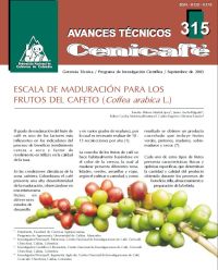 <p>(avt0315)Escala de maduración para los frutos del cafeto /Coffea arabica/ L. (avt0315)</p>